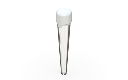 Chubby Gorilla|25x113mm Clear Tube W/ Aviator CR White Cap